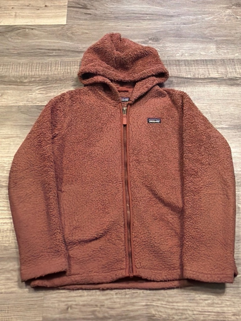 Patagonia Kids' red Hooded Fleece Jacket